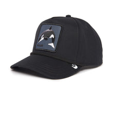 Load image into Gallery viewer, Goorin Bros Killer Whale 100