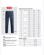 Load image into Gallery viewer, Levis Loose Straight Men's Jeans
