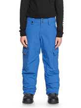 Load image into Gallery viewer, Quiksilver Boy's Porter Snow Pants