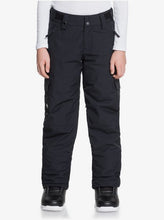 Load image into Gallery viewer, Quiksilver Boy's Porter Snow Pants