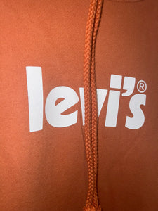 Levi's Graphic Standard Hoodie