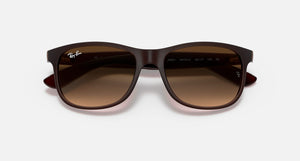 Ray Ban Andy Sunglasses