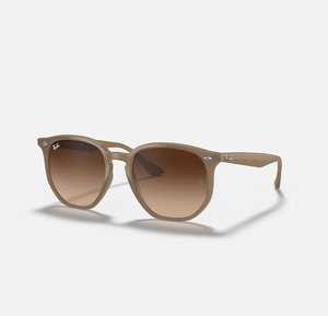 Ray Ban RB 4306 Sunglasses