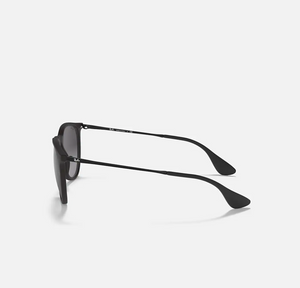 Ray-Ban RB 4171 Erika Sunglasses