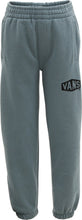 Load image into Gallery viewer, Vans Hex Logo Fleece Pant