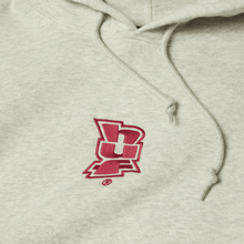 Load image into Gallery viewer, HUF Megablast Embroidered Hoodie