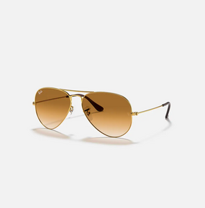 Ray Ban RB 3025 Aviators