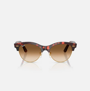 Ray Ban RB 2341 Sunglasses