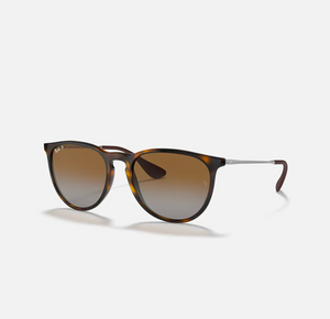 Ray-Ban RB 4171 Erika Sunglasses