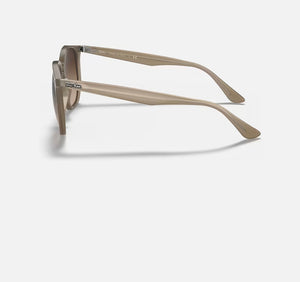 Ray Ban RB4306 Sunglasses