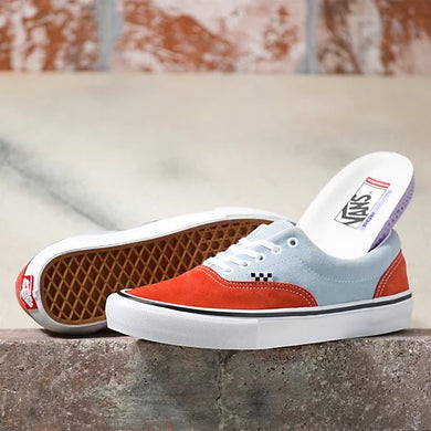 Vans Skate Series Era Shoes
